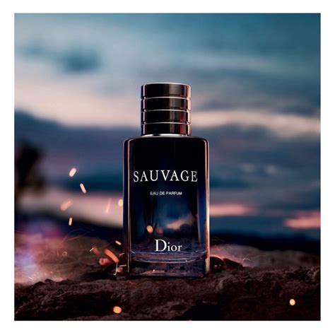 sauvage dior perfume review|More.